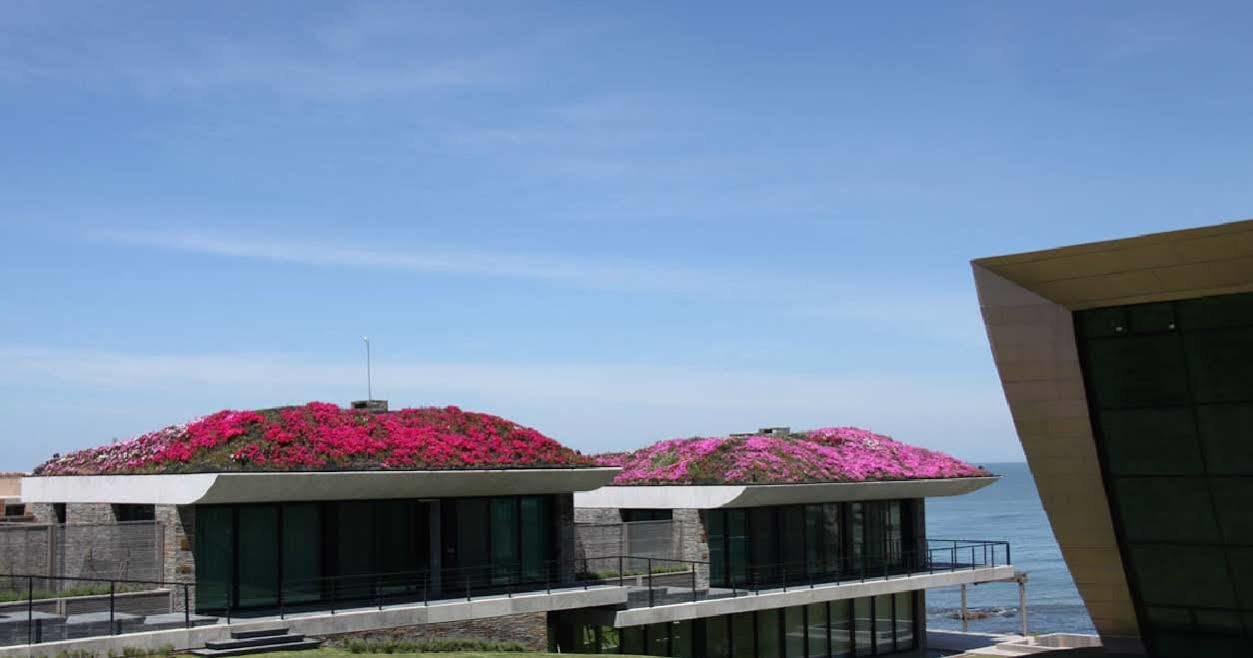 Вілла Playa Vik Jose Ignacio Екстер'єр фото